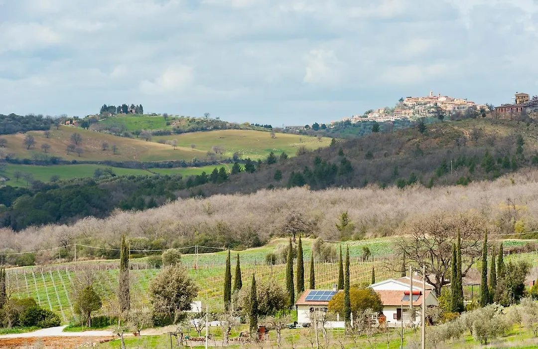 Artemisia negli ulivi b&b-1